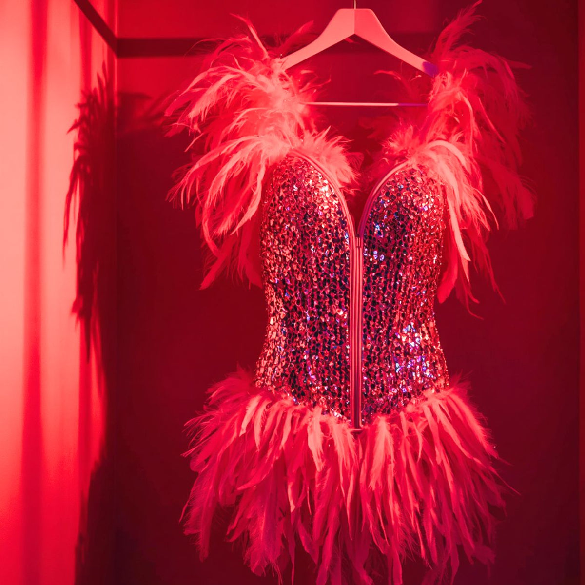Red sequined feathered burlesque costume hanging against a crimson background